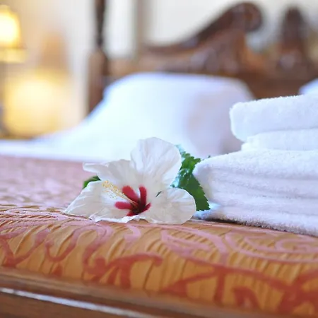 Art Boutique Chamarel Otel