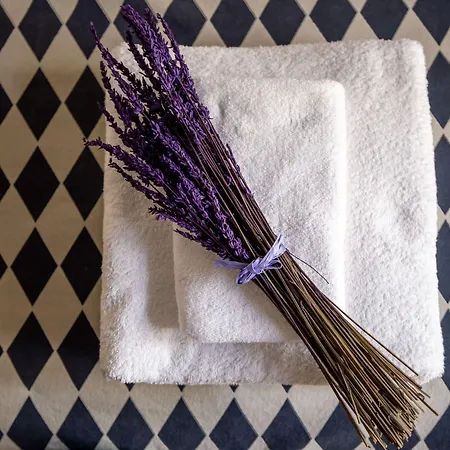 فندق Art Boutique Chamarel 3*