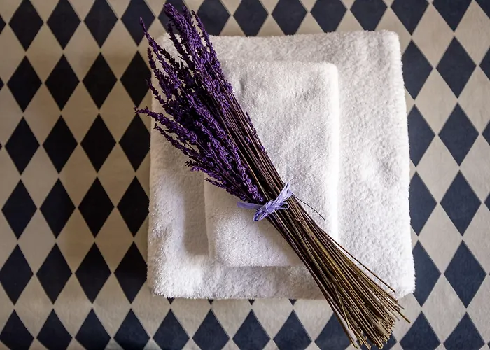 Hotel Art Boutique Chamarel 3*